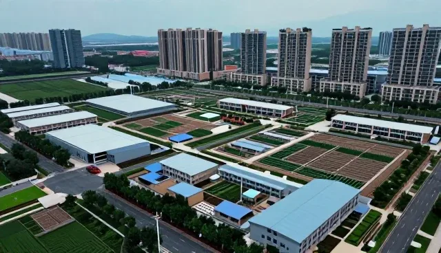 技术研发选型关注点：效率与成本的取舍